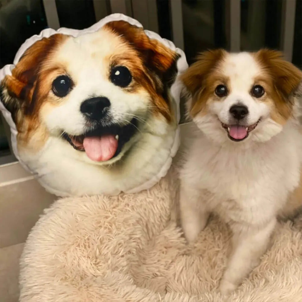 Custom Pet 3D Pillow